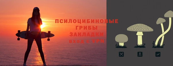 соль ск Алексеевка