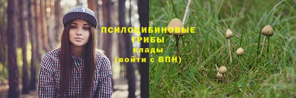Альфа ПВП Алзамай